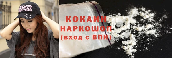 гидра Кулебаки