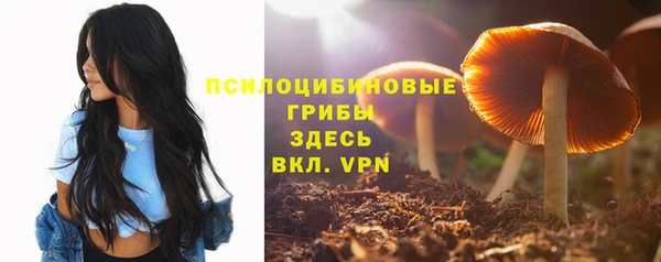 a pvp Куйбышев