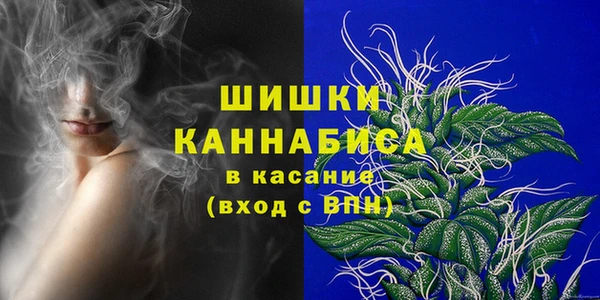 гидра Кулебаки
