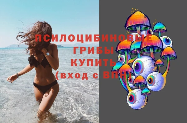 гидра Кулебаки