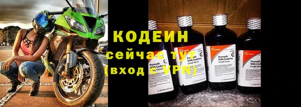 гидра Кулебаки
