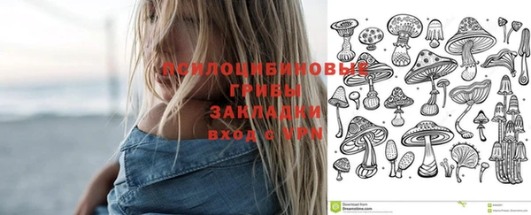 гидра Кулебаки