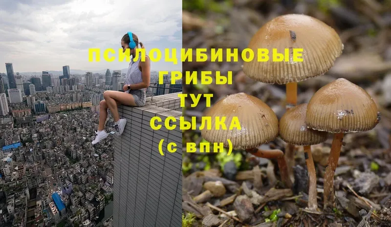 Галлюциногенные грибы Magic Shrooms  Севастополь 