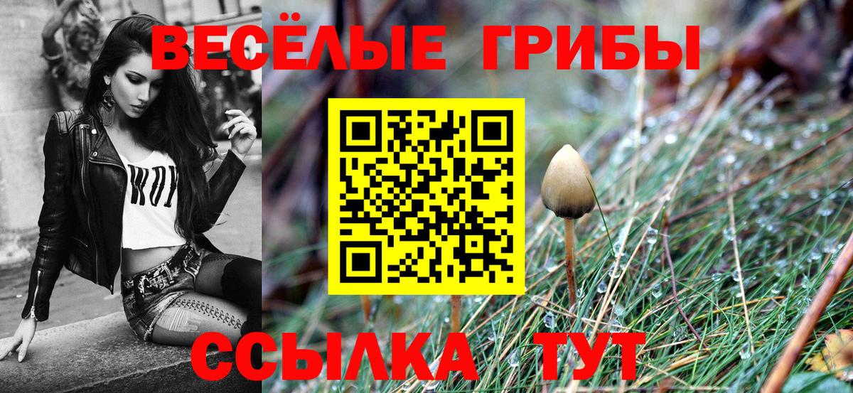 Галлюциногенные грибы мицелий Севастополь