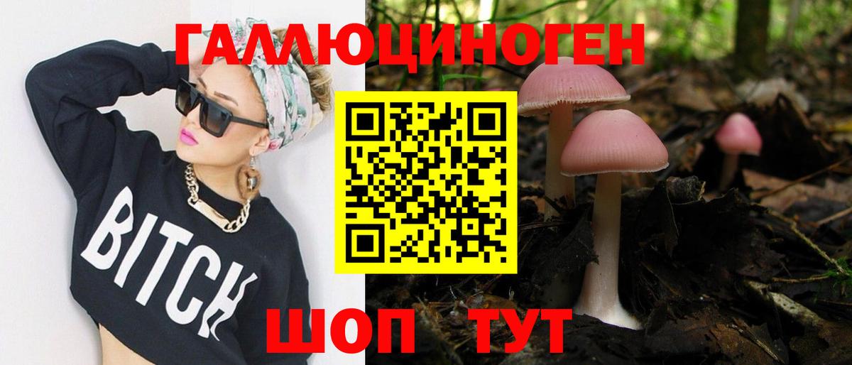 Севастополь  Псилоцибиновые грибы GOLDEN TEACHER  Псилоцибиновые грибы Magic Shrooms  Вход с VPN 
