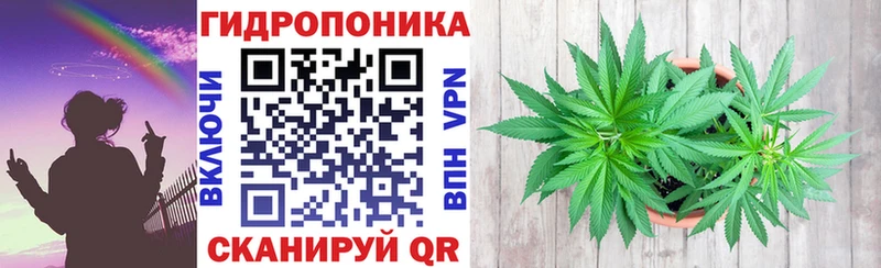 mega ONION цена Севастополь Конопля ГИДРОПОН